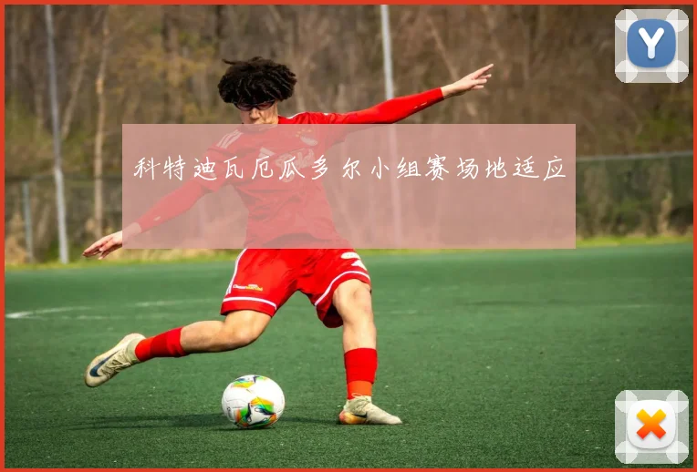科特迪瓦厄瓜多尔小组赛场地适应
