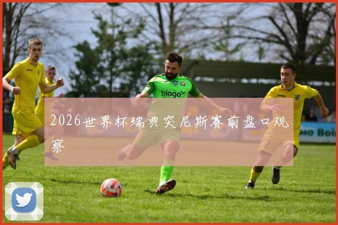 2026世界杯瑞典突尼斯赛前盘口观察