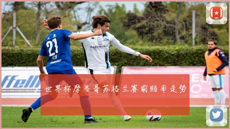 世界杯摩洛哥苏格兰赛前赔率走势