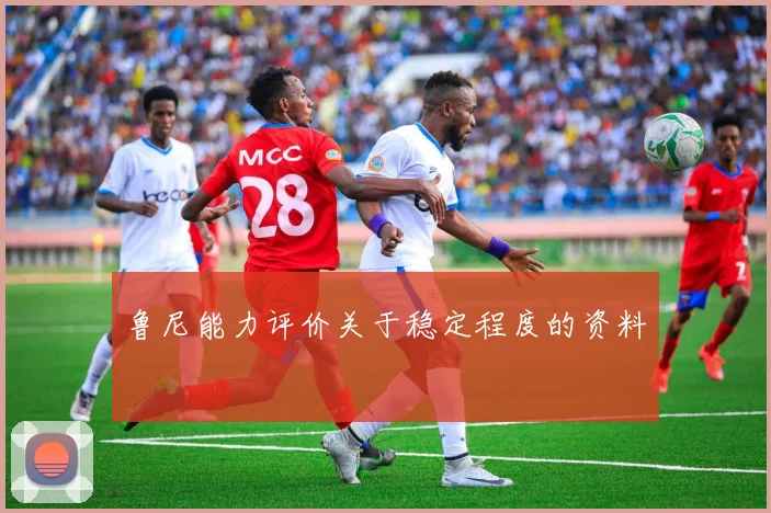 鲁尼能力评价关于稳定程度的资料