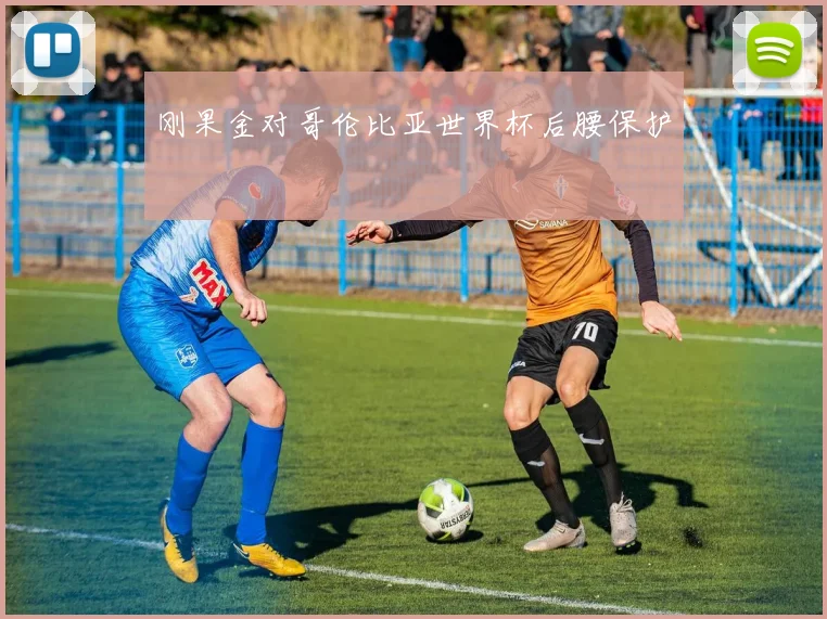 刚果金对哥伦比亚世界杯后腰保护