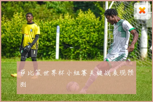 萨比策世界杯小组赛关键战表现预测