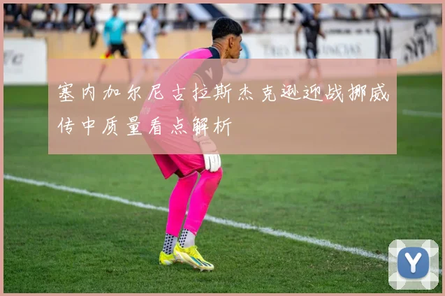 塞内加尔尼古拉斯杰克逊迎战挪威传中质量看点解析