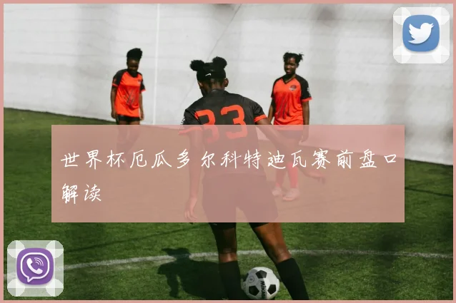 世界杯厄瓜多尔科特迪瓦赛前盘口解读