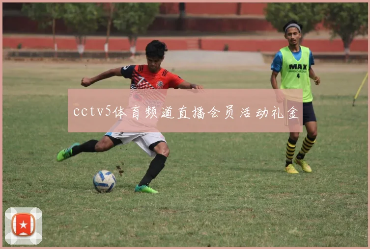 cctv5体育频道直播会员活动礼金