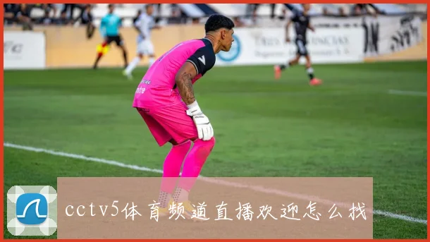 cctv5体育频道直播欢迎怎么找