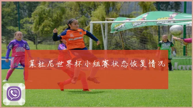莱杜尼世界杯小组赛状态恢复情况