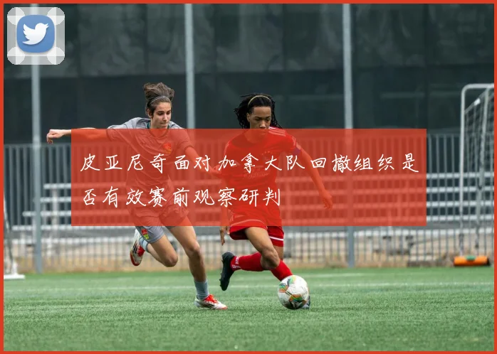 皮亚尼奇面对加拿大队回撤组织是否有效赛前观察研判