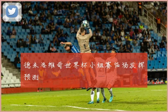 德米洛维奇世界杯小组赛临场发挥预测