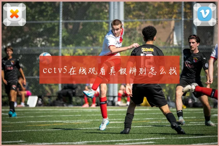 cctv5在线观看真假辨别怎么找